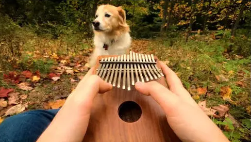 河畔有約丨看見(jiàn)指尖藝術(shù)，聆聽(tīng)幻彩音符！